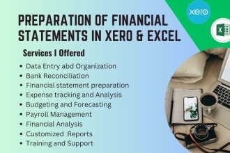 do balance sheet, profit and loss using xero, and excel