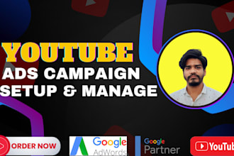 setup and manage youtube ads campaign with google adword, video ad campaigns
