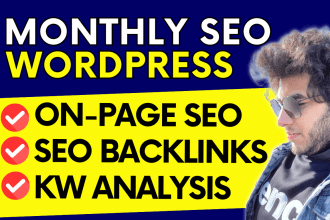 do monthly wordpress website SEO service for google ranking