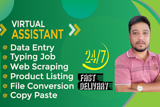 be your VA for excel data entry, data formatting, file conversion, copy paste