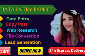 be your virtual assistant of data entry copy paste and web research
