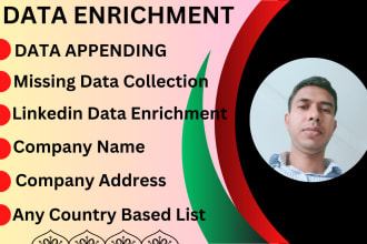do company data enrichment with information collection