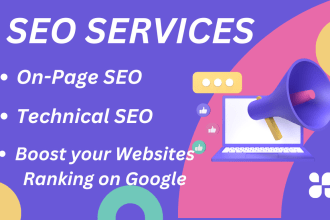 provide best on page SEO for wordpress, wix, shopify and godaddy websites
