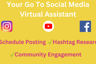 be your trusted virtual assistant for instagram, facebook, youtube