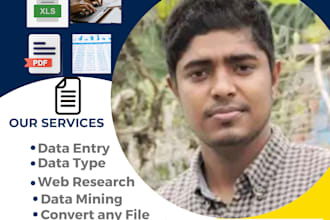 do online and offline data entry work