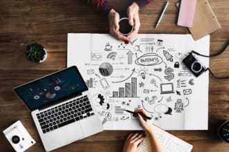 do accounting and finance, business, economics, project management