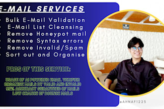 do bulk email verification and email list cleansing service for you