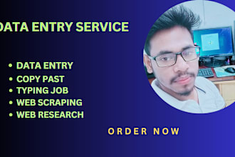 data entry copy past typing job web scraping data research