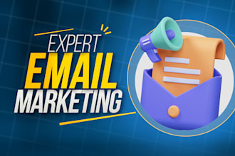 setup professional email campaign with automation in systeme io or mailchimp