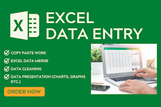 do excel data entry and cleaning, copy paste, PDF to excel