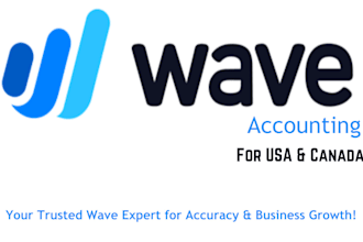do accounting and bookkeeping by using wave