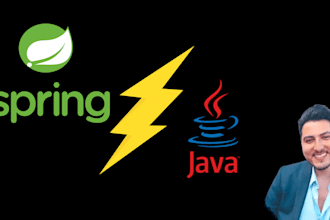 help your with your java and spring projects