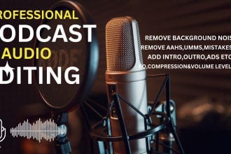 do professional audio editing and noise reduction
