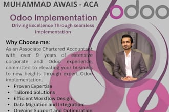 do odoo erp implementation, bookkeeping and accounting as per your business need