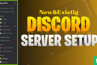 setup custom discord server full professionally