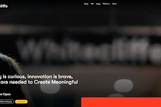 do custom web app