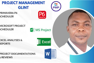 create project custom excel spreadsheets and dashboards