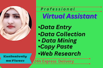 provide virtual assistant for data entry, web research etc