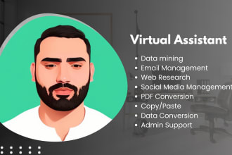 be your dedicated personal VA, data entry, accounting
