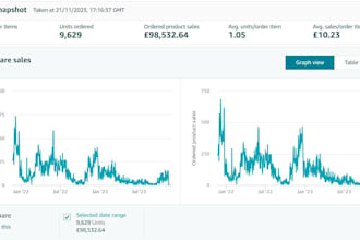 setup manage, launch and optimize amazon PPC ads campaigns