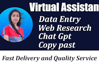 expert data entry and web research virtual assistant