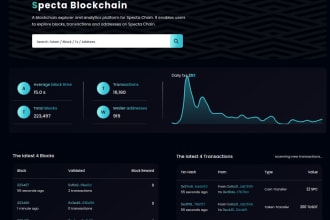 install blockchain explorer and customize it