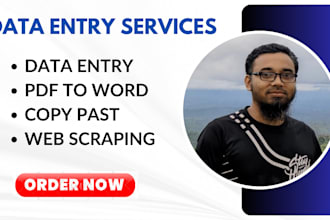do data entry, PDF to word, copy paste and file conversion