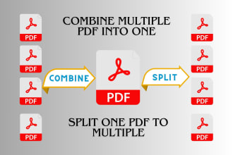 do data entry copy paste word excel combine and split pdf