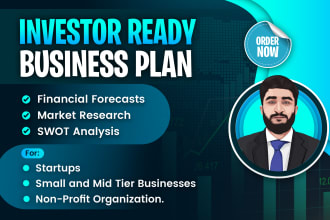 prepare an investor ready business plan, financial projections and model
