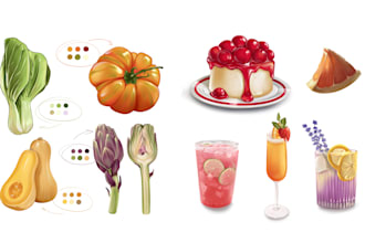 draw food and drink illustration