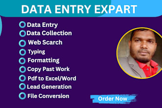 do accurate data entry, online research, typing and copy paste job