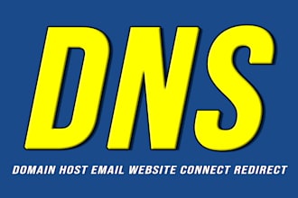 manage dns records for your business email, domain, hosting and website