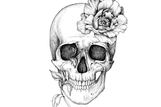 create line art illustration for your projects