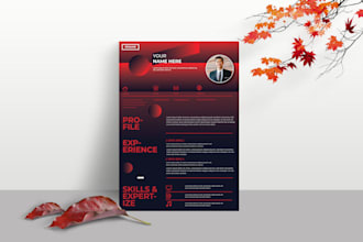 create professional resume design and CV design