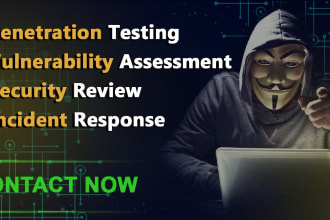 conduct penetration testing and vulnerability assesment for website or server