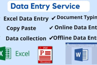 do excel data cleaning, data entry and english typing