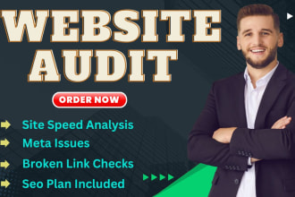 provide comprehensive website audit