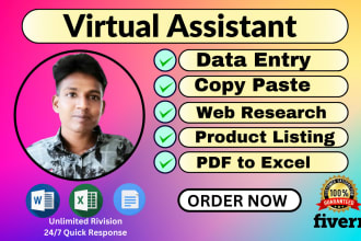 be your virtual assistant for data entry, copy paste, web research, pdf to excel