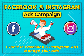 run high converting facebook ads campaign and instagram ads, shopify ads
