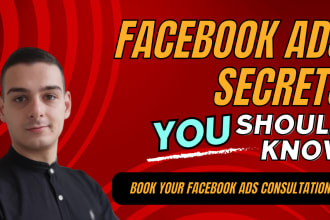 be your facebook ads consultant and mentor