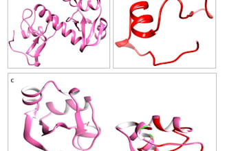 assist you in bioinformatics basic to advanced computational drug designing