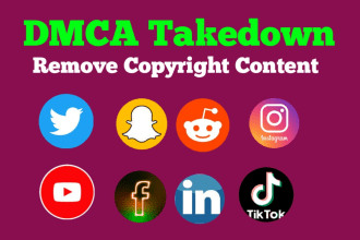 send dmca notice to takedown content on reddit,google,tiktok,youtube,instagram