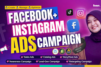 setup and manage facebook ads campaign, instagram ads, fb or meta ad marketing