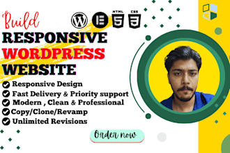 design, copy, clone custom wordpress website for you