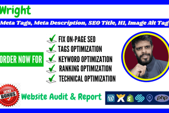 fix meta tag, meta description, title, h1, image alt for on page SEO