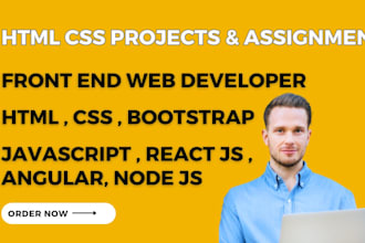 do your HTML CSS projects and assignment as a front end web developer