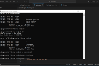 be your python django instructor