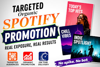 promote your spotify music with effective ads campaign