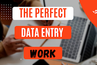 provide high data entry service