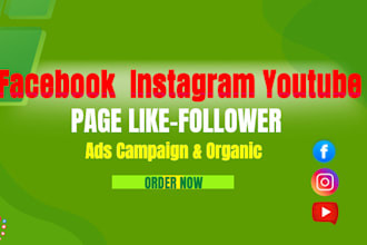 grow your page likes and followers with fb paid ads